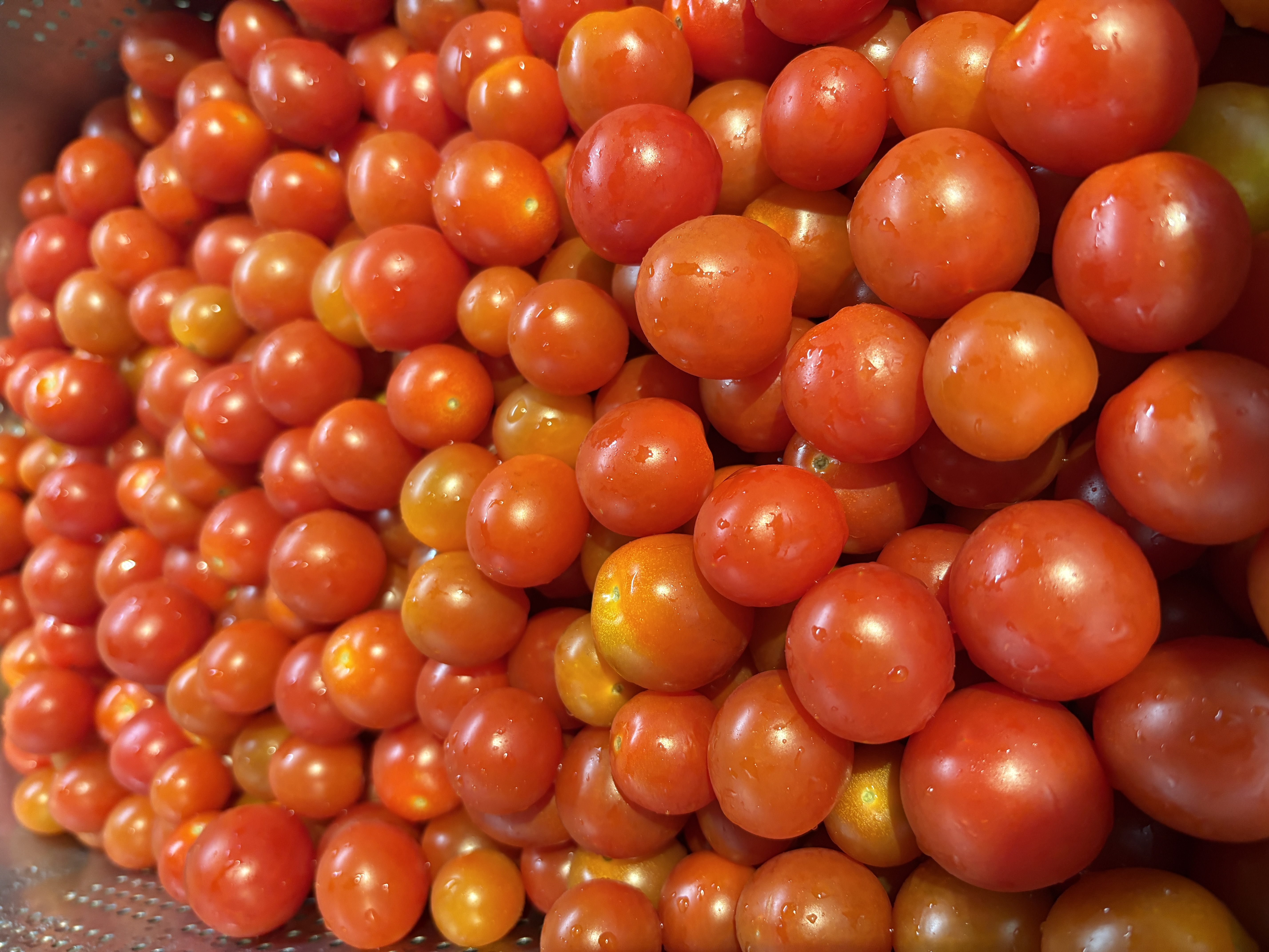 Woman in a blue sweater eating a french fry while holding a plate of fried chicken and french fries.